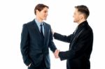 Successful Partners Shaking Hands Stock Photo