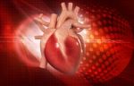 Human Heart Stock Photo