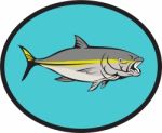 Yellowtail Kingfish Oval Cartoon Stock Photo