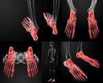 3d Rendering Of Human Foot X - Ray Stock Photo