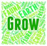 Grow Words Meaning Sow And Growth Stock Photo