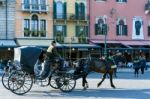 Horse And Carriage In Verona Stock Photo