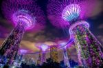 Singapore - Feb 11 , 2017 : Singapore Cityscape At Night In Singapore Stock Photo