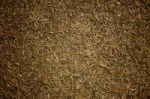 Dry Grass Background Stock Photo