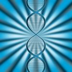 Dna Rays Indicates Genetic Code And Beam Stock Photo