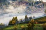 Clouds Of Fog On Mountain Hills. Misty Sunny Morning In Forest Stock Photo