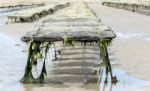 Oyster Cultur On The Fernch Coast Stock Photo