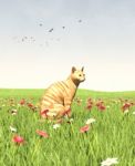 Cat Sitting In Green Fields Stock Photo