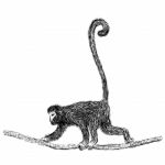 Line Drawing Of Gibbon -  Illustration Stock Photo