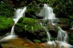 Waterfall In Forest Stock Photo