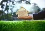 Hand Of Business Man And Wood House Model On Beautiful Green Gra Stock Photo