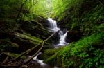 Deep Forest Waterfall Stock Photo