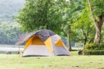 Dome Tents Camping In Forest Stock Photo