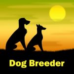 Dog Breeder Indicates Husbandry Breeding And Mate Stock Photo