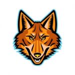 Coyote Head Front Mascot Stock Photo