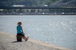 Lady Looking At The River Danube In Budapest Stock Photo
