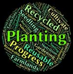 Planting Word Indicating Sows Cultivate And Plants Stock Photo