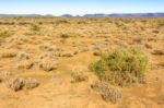 Landscape In Northern Cape, South Africa Stock Photo