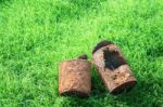 Rusty Can On Young Grass Stock Photo
