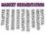3d Image Market Segmentation  Issues Concept Word Cloud Backgrou Stock Photo