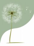 Dandelion Flower Greeting Card Stock Photo