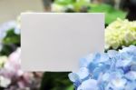 Paper Blank With Flowers Stock Photo
