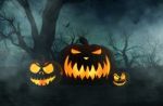 Halloween Pumpkin In Creepy Forest At Night,3d Illustration Stock Photo