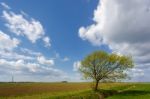Arable Farmland In Cambridgeshire On A Sunny Spring Day Stock Photo