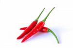 Red Chili Pepper On A White Background Stock Photo