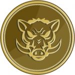 Wild Hog Head Angry Gold Coin Retro Stock Photo
