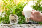 Woman Hand Is Holding Led Bulb With Growing Plant In The Glass - Stock Photo