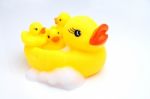 Yellow Duck With Babies Stock Photo