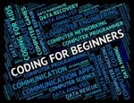 Coding For Beginners Shows New Girl And Apprentice Stock Photo