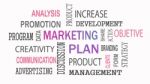 Marketing Plan Word Cloud Concept On White Background Stock Photo