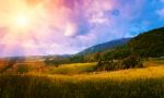 Landscape Beautiful Rice Terrace And Sunbeam In Chiang Mai,thail Stock Photo