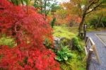 Fall Foliage At Eikando Temple, Kyoto Stock Photo
