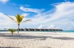 Palm Tree On A Maldives Beach, Watervillas Over The Indian Ocean, Moofushi Atoll Stock Photo