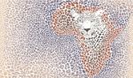 Pattern Seampless Leopard Fur And Face With Map Of Africa Stock Photo