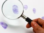 Examine A Fingerprint Stock Photo
