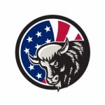 American Buffalo Usa Flag Icon Stock Photo