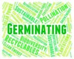 Germinating Word Indicating Words Germinates And Germinated Stock Photo