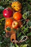 Christmas Fruits Stock Photo
