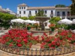 Estepona, Andalucia/spain - May 5 : Flower Square In Estepona Sp Stock Photo