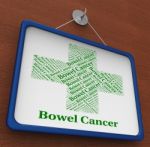 Bowel Cancer Represents Ill Health And Afflictions Stock Photo