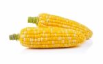 Corn Isolated On A White Background Stock Photo