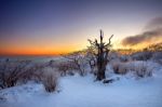 Silhouette Of Dead Trees, Beautiful Landscape At Sunrise On Deogyusan National Park In Winter,south Korea Stock Photo