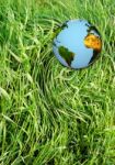 Planet Earth And Ecology Stock Photo