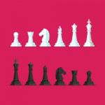 Black And White Chess Piece  Icons Set Stock Photo