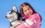Happy Little Girl Holding Her Puppy Dog Husky Stock Photo