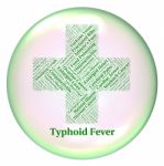 Typhoid Fever Indicates Symptomatic Bacterial Infection And Salm Stock Photo